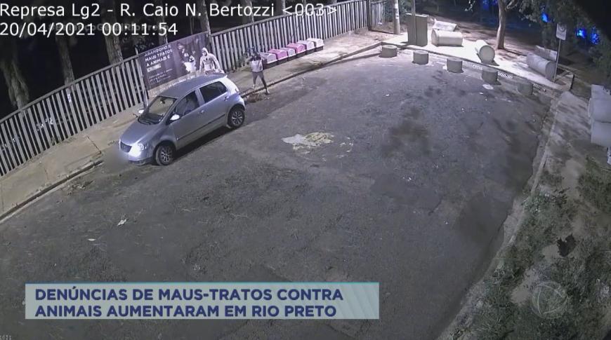 Denúncias de maus-tratos contra animais aumentaram em Rio Preto
