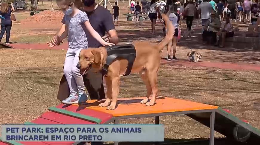 Pet Park é inaugurado em Rio Preto