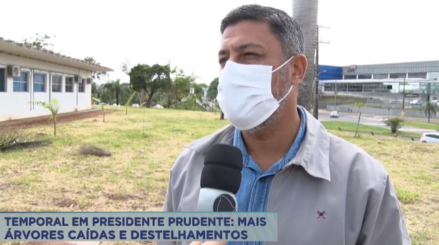 Temporal em Presidente Prudente deixa árvores caídas e destelhamentos