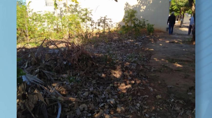 Flagrou, tá na Record: Terreno abandonado vira descarte de lixo em Rio Preto