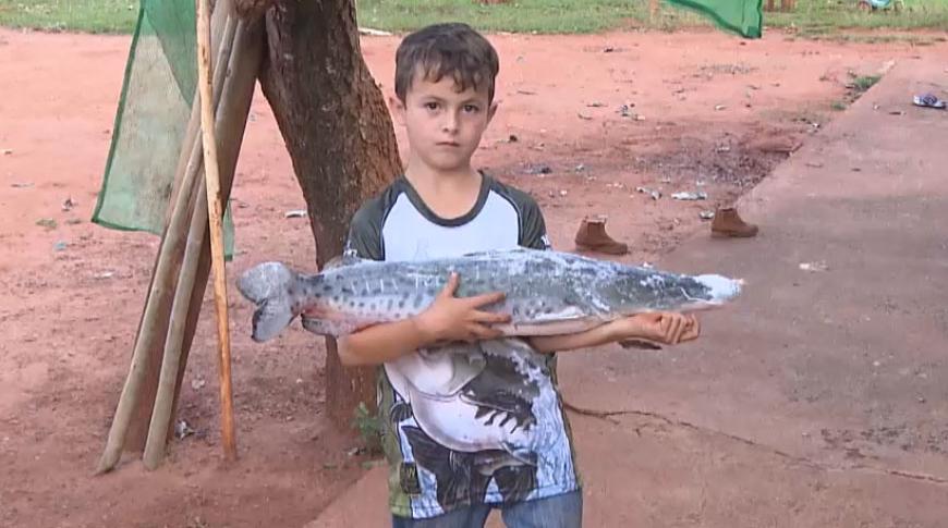 Mini pescador viraliza nas redes sociais ao demonstrar habilidade com peixe