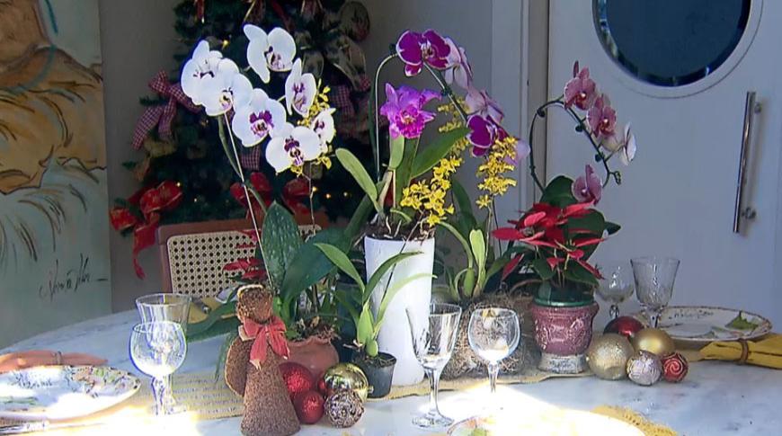 Especialista em flores traz dicas para decorar a sua mesa neste natal