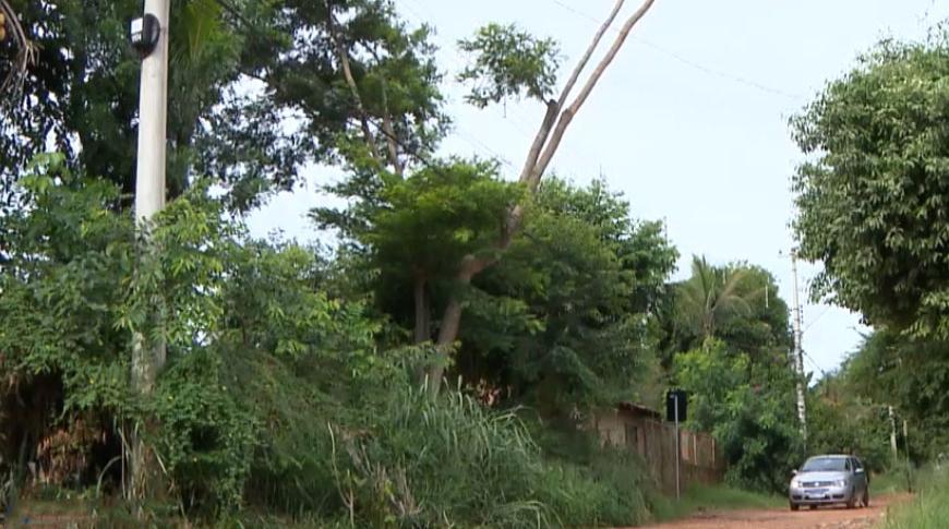 Moradores de Rio Preto enfrentam problemas com mato alto