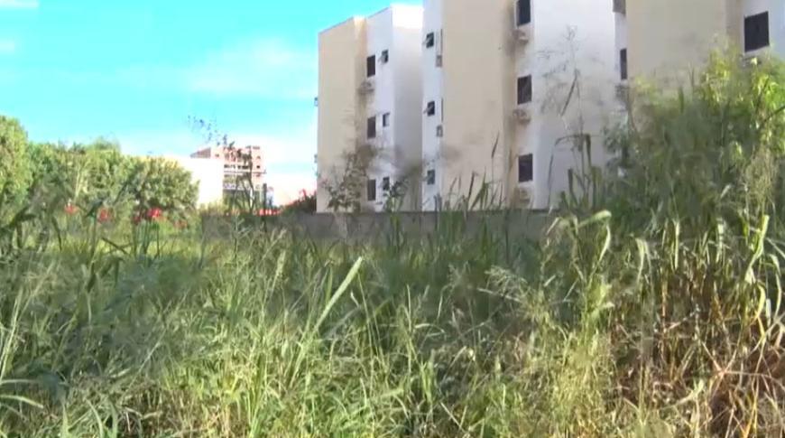Moradores da Vila Sinibaldi em Rio Preto reclamam de terreno abandonado