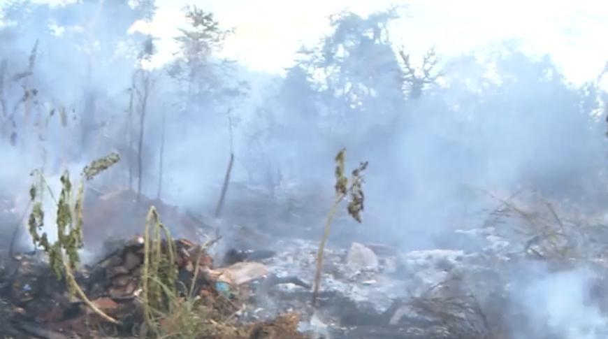 Incêndio atinge área de vegetação em Rio Preto