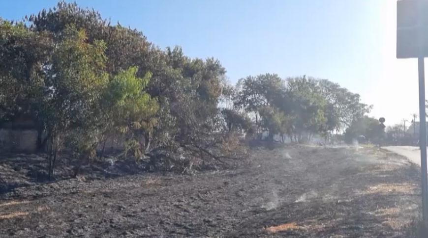 Defesa Civil alerta para incêndios florestais em toda a região