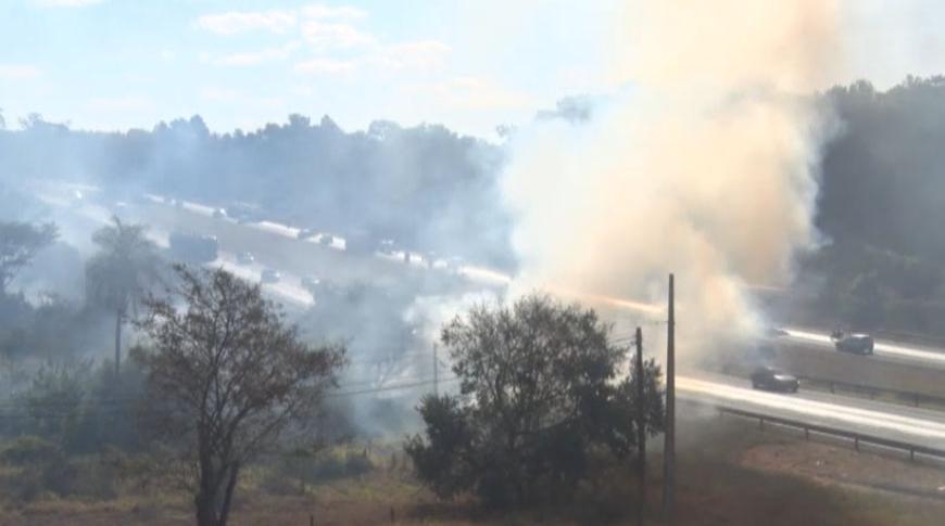 Incêndio atinge área do antigo IPA em Rio Preto