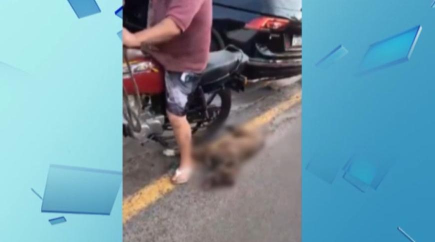 Homem é preso em Catanduva por amarrar e Arrastar cachorra em moto