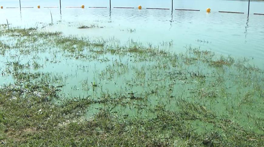 Condições sanitária de rio ameaça pesca e turismo