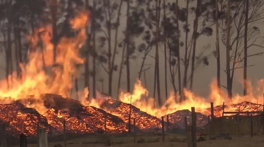 Inverno quente aumenta os riscos de queimadas