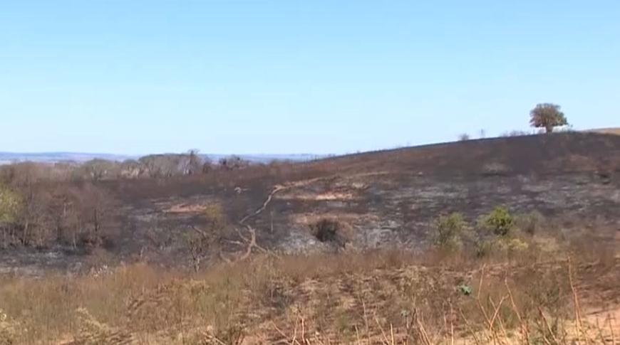 Região de Bauru também foi bastante atingida por incêndios