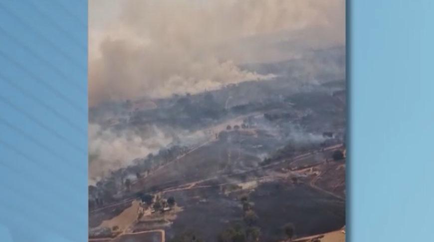 Estudo aponta mudança climática e impactos sobre canaviais