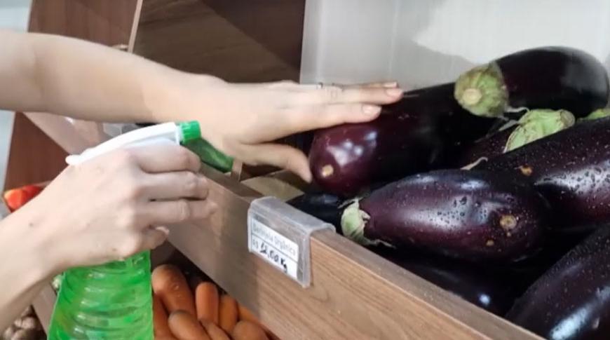 Cuidados com saúde e com as plantas no calor