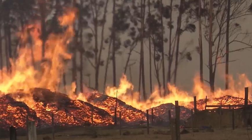 Fumaça das queimadas pode causar doenças