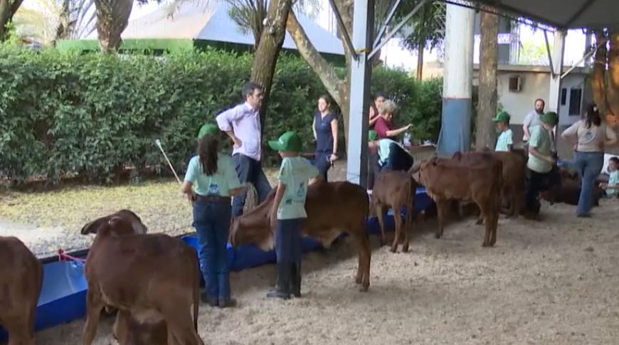 Crianças vivem a experiência de cuidar dos animais na Oficina Bezerra