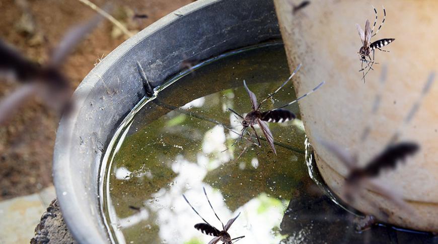 Prefeitura de Rio Preto intensifica o combate à dengue