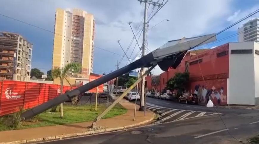 Em Rio Preto chuva derruba árvores e causa transtornos