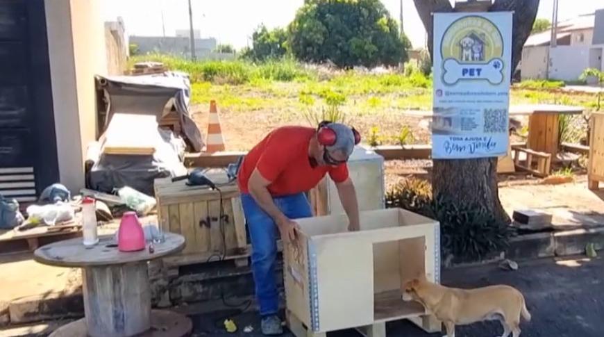 Caminhoneiro constrói casinhas pet para animais de rua