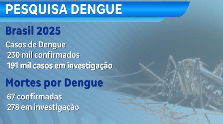 Pesquisadores já previam epidemia de dengue em Rio Preto